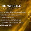 Play Tin Whistle - Additional Tin whistle including shipping and fees (after purchase within 24hr)
