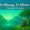 Si bheag Si mohr