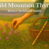 Wild mountain thyme